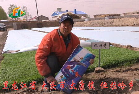 大慶-太康鎮-用戶迴(hui)訪視(shi)頻