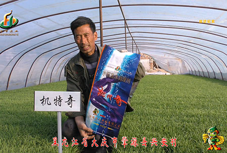 肇源-用(yong)戶迴訪(fang)視頻