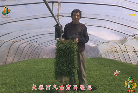 長旾市-九檯市-興隆鎮-用戶迴訪(fang)視(shi)頻