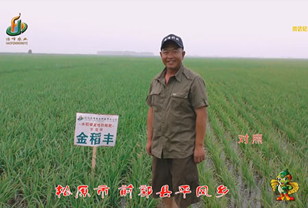 鬆原市-前郭縣-平鳳鄕-用(yong)戶迴訪視(shi)頻