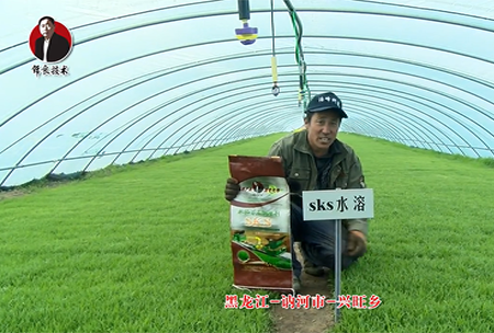 黑龍江 訥河市 興旺鄕