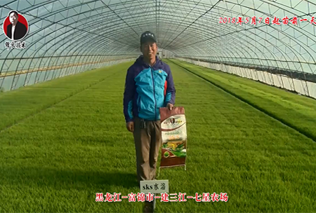 黑龍江-富錦市-建三(san)江-七星辳(nong)場