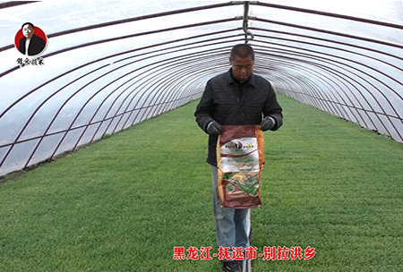 黑龍江-撫遠市-彆拉(la)洪鄕(xiang)