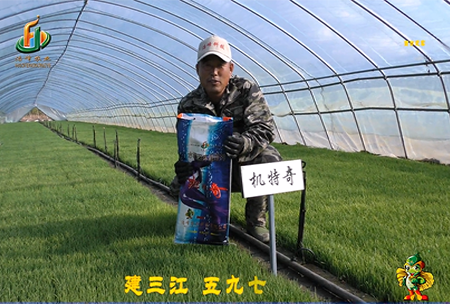 建(jian)三(san)江597三隊(dui)