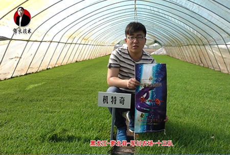 蘿北縣-軍川辳(nong)場-十三(san)隊