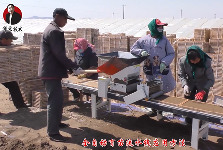 《錦良(liang)技術》水(shui)溶壯秧劑-流水線應用